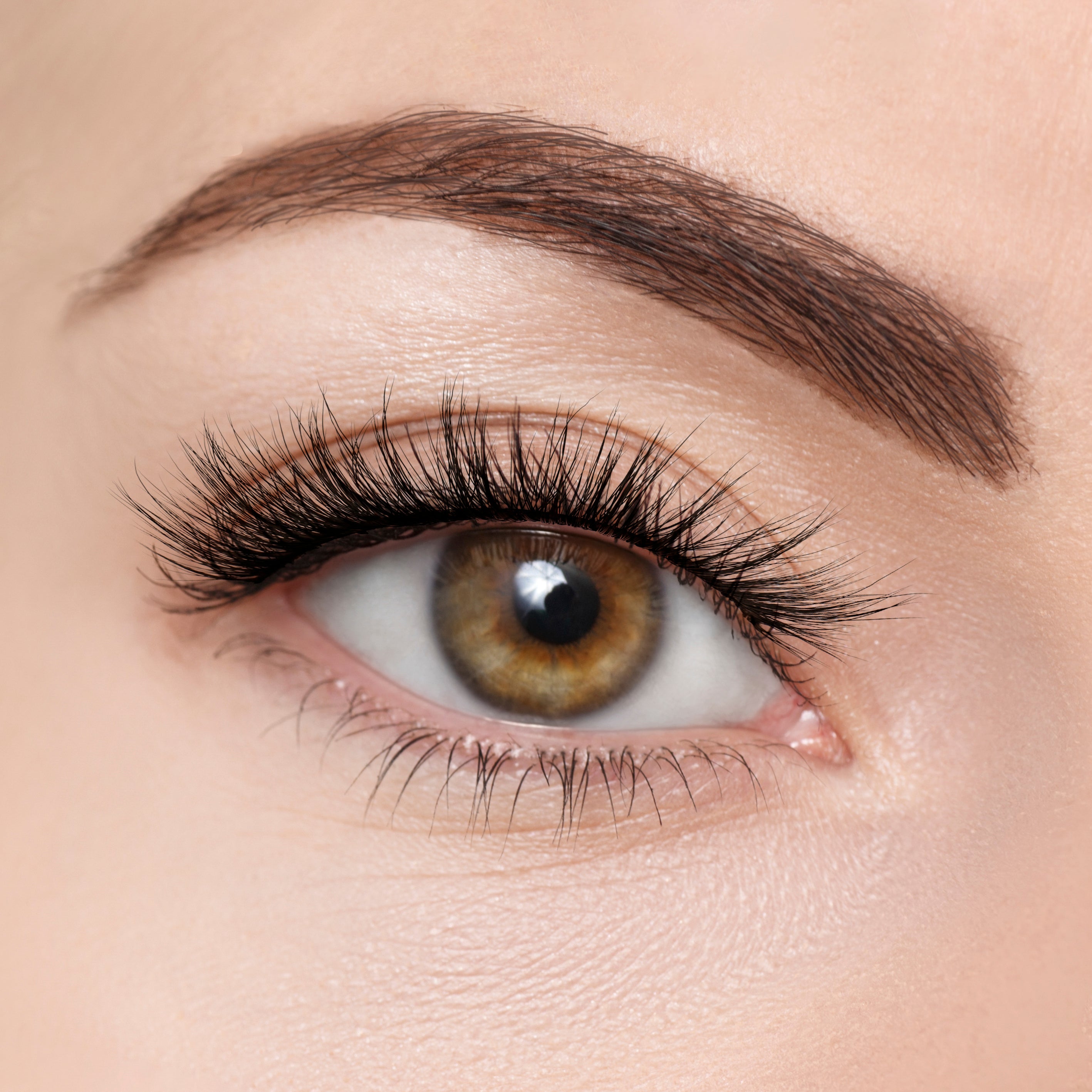 Camellia Eyelashes The Juvenae Shop